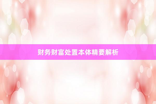财务财富处置本体精要解析